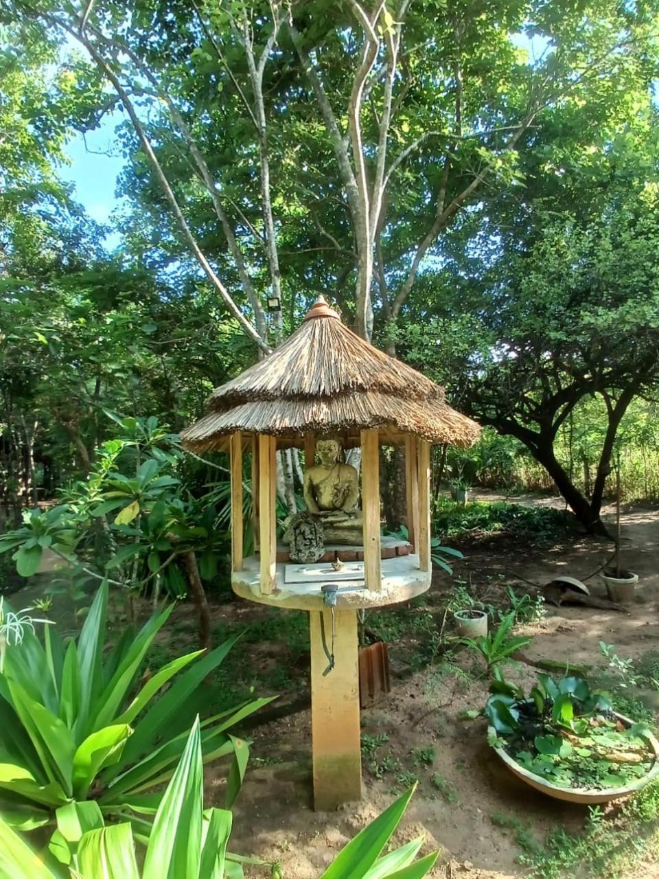 Villa Хабарана Экстерьер фото